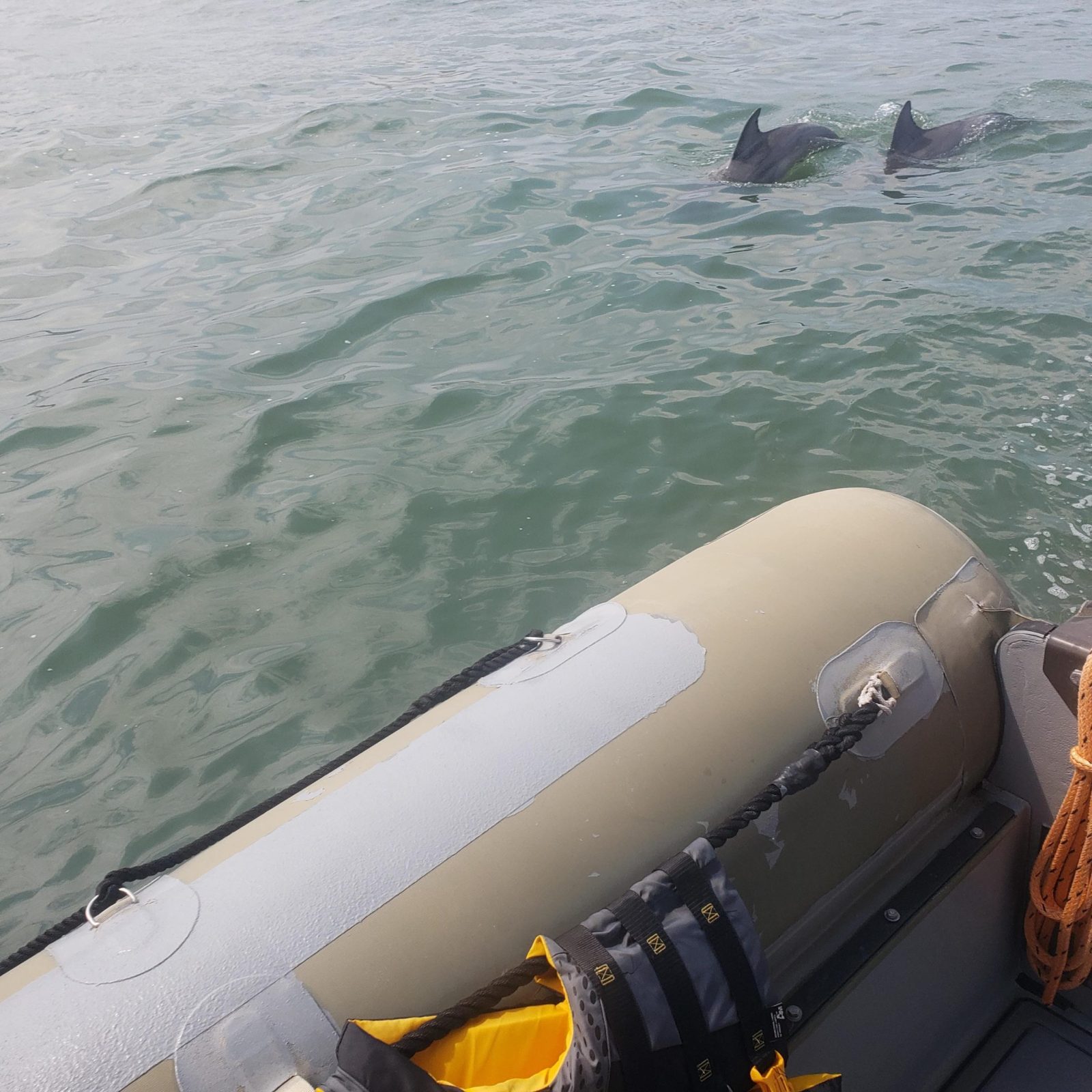 a ship in a body of water