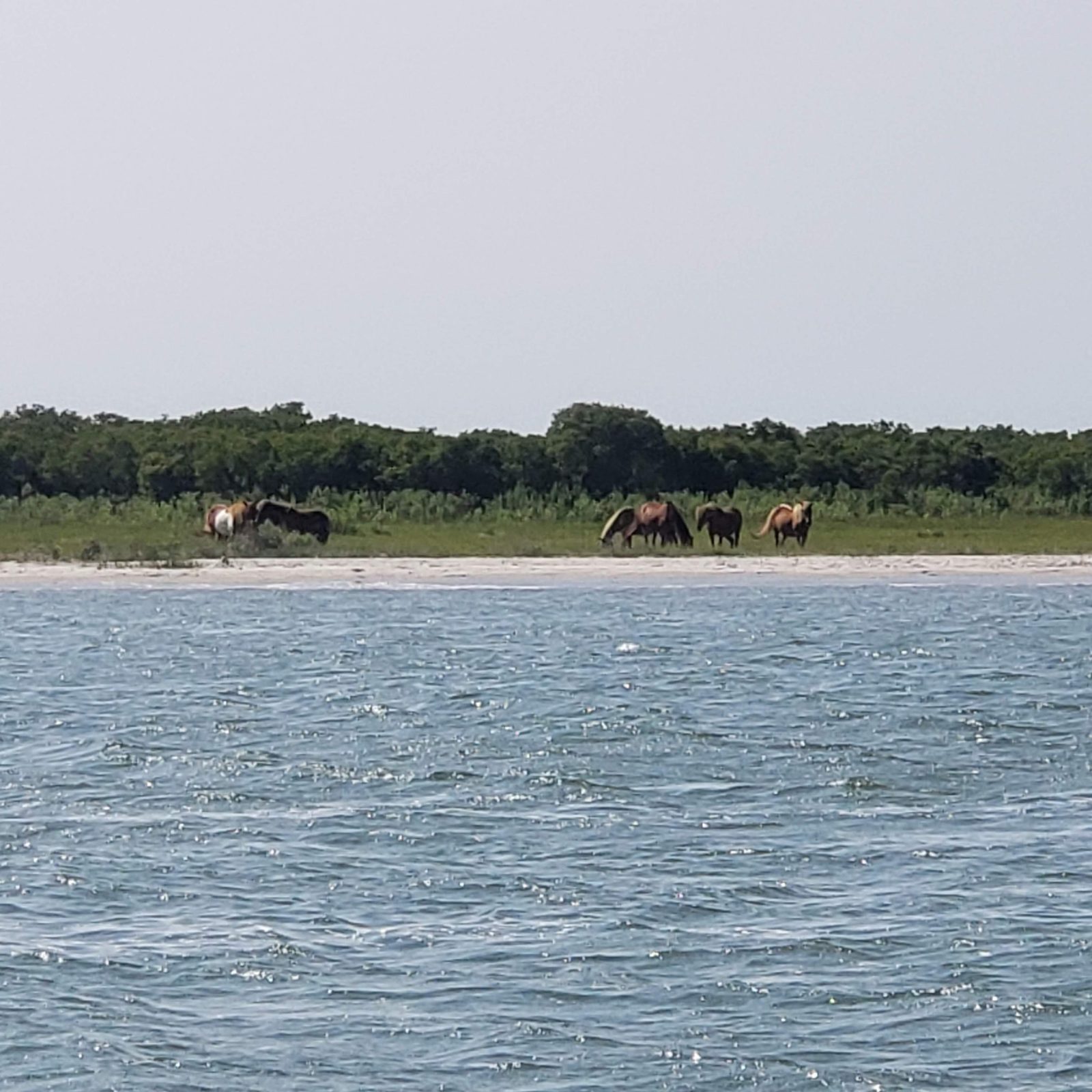 a large body of water